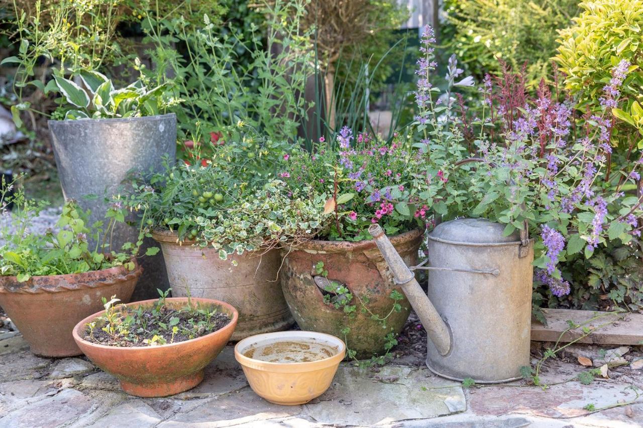 Brookfields Bed & Breakfast Wadebridge Luaran gambar